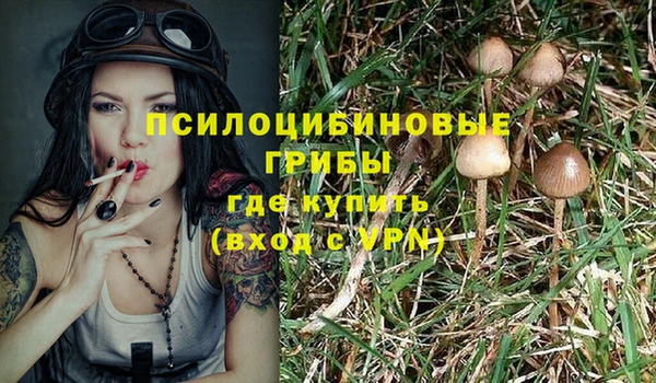 jwh Арсеньев